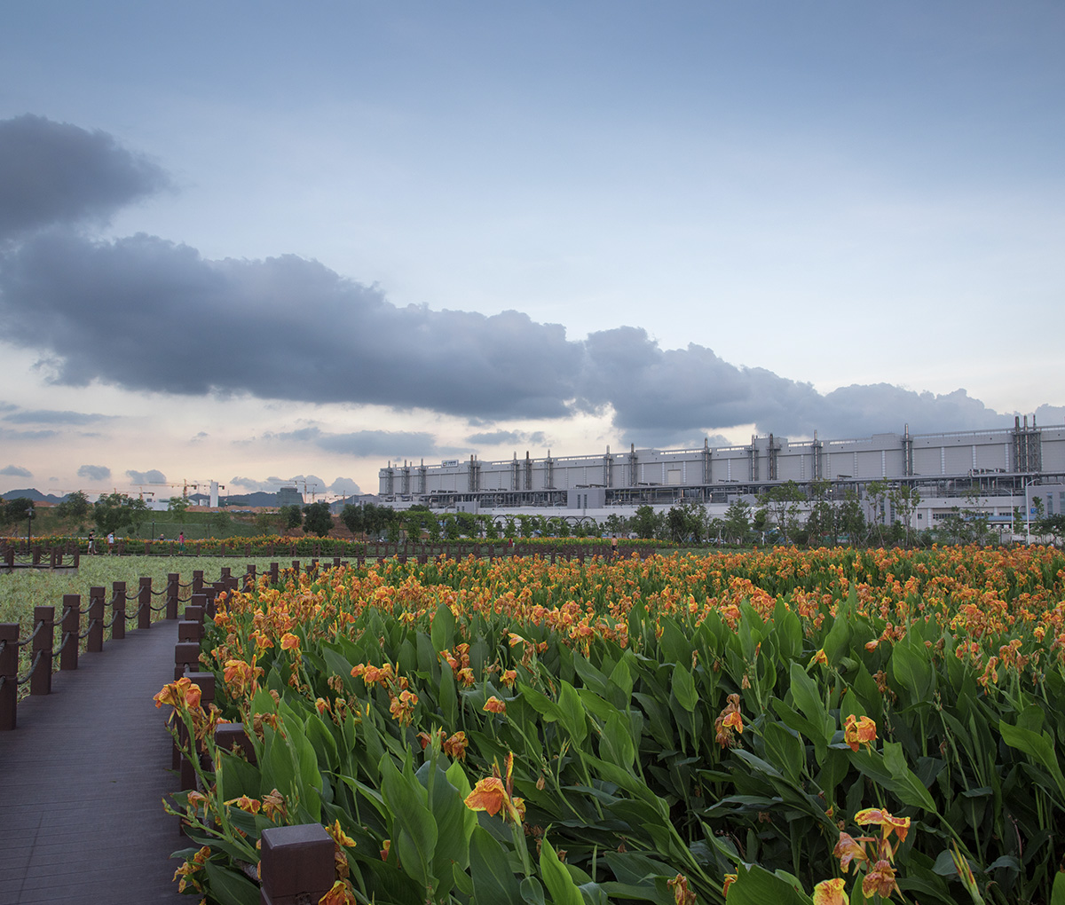TCL华星深圳基地建设人工湿地开展生态修复